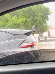 DC Comics The Joker Figure Car Accessory – Car Mounted Joker The Dark Figure 9in