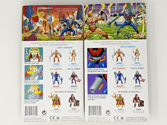 Masters of the Universe Super7 MOTU He-Man Skeletor She-Ra Hordak Set MOC w/ Box