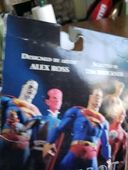 DC Direct Justice League Alex Ross Series 1 Cheetah Action Figure (Box Has Wear)