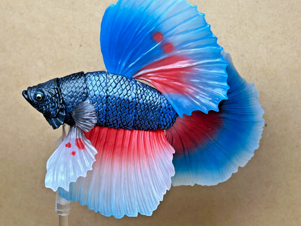 Bandai Capsule Toy Creature Encyclopedia Advance　Betta (Full Moon Blue & Red)