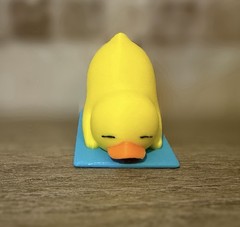 Yoga Duck – Downward Duck – Ducking – Cruises – Collectibles