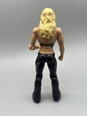 WWE Mattel Basic Royal Rumble Heritage Series 1 Beth Phoenix Wrestling Figure