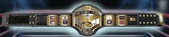 NWA Lot Of 5 Custom Hand Made Hasbro Scale Wrestling Belts Mid Atlantic Title