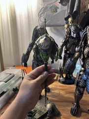 1/6 Scale Custom Trophy Predalien Head