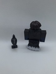 Roblox Series 8 Figure – WhoToTrus Celebrity No Code