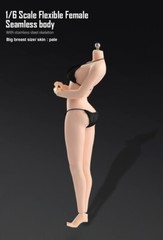 US 1/6 Female Mid Bust Pale Skin Flexible Seamless Body 12in Action Figure Doll