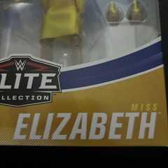 WWE Elite Collection Summer Slam Series 77 Action Figure Miss Elizabeth