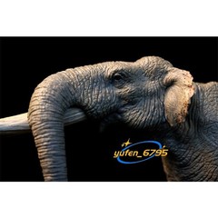 TNG Huanghe Flumen Stegodon Model Elephant Animal Figure Toys Decor Xmas Gift
