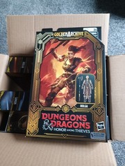 Dungeons & Dragons Honor Among Thieves Action Figure Golden Archive Case 4 Pack
