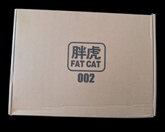US STOCK Fat Cat 1/100 Upscaled RG God Gundm New Model Kit