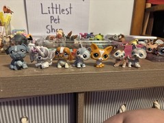 LPS Littlest Pet Shop LOT!! Ask Me Questions Regarding Littlest Pet Shop!! Read