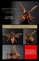 The Diversity of Life on Earth Advance Wasp Hornet 02 Figure Bandai Capsule Toy