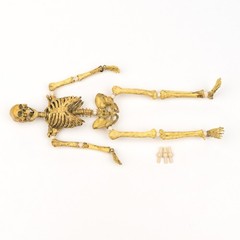 Body for 101TOYS ES014 1/12 Scale 6″ Figure