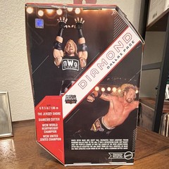 Mattel WWE Ultimate Edition Diamond Dallas Page Action Figure w/Shirt, Hands