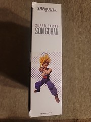 Bandai SH Figuarts Dragon Ball Z Super Saiyan Gohan 1.0 2010