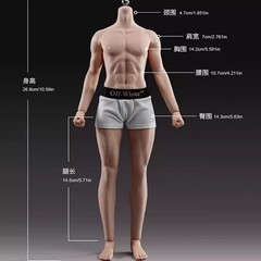 YM511M 1/6 Male Bodybuilding Action Figure Body 12in Muscle Soldier Model Figure