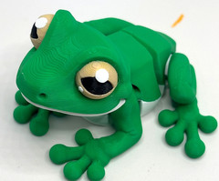 Set of Two 3D Printed Articulated Frogs – Flexible Frog Figures, Two Different S