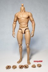 ZC Toys 1/6th Muscular Flexible Male Figure Body Fit 12″ Hot Head Sculpt Model