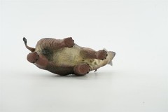 TNG Arsinoitherium Model Decor Animal Figure Adult Kids Children Toys Xmas Gift