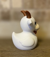 Goat Duck