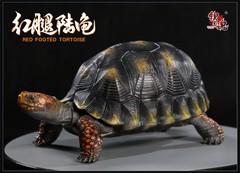 Np Common Box Chinese Three-striped Box Turtle Figure Tortoise Animal Model