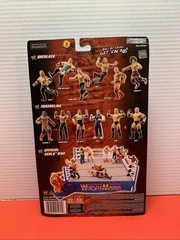 WWE Backlash Pay Per View Series 13 Rob Van Dam Collectible Action Figure 2006