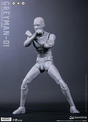Dam Toys 1/12 Crash Test Dummy “GREYMAN” Action Figure DAM-DPS11 in USA