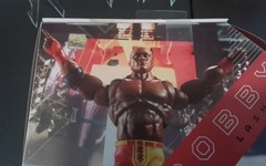 WWE Mattel Ultimate Series #19 & Top Picks Bobbie Lashley 2xs His side plates