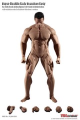TBLeague Phicen 1/6th Scale Super Flexible Male Seamless Body-M35 new Version