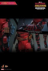 READY NEW AUTHENTIC HOT TOYS DEADPOOL & WOLVERINE WOLVERINEPOOL MMS857 CONCEPT