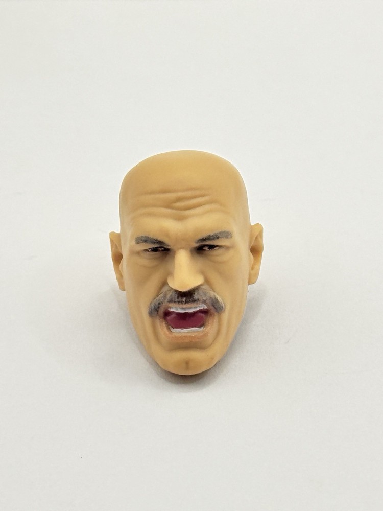 WWE Elite Summerslam 2026 – Jesse Ventura BAF Head Only Fodder (B) 1/12 Scale