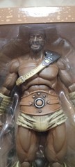 Xesray Studio Combatants Fight For Glory GLADIATOR TRAINEE B Gold 1:12 Figure