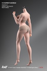US 1/6 Female Suntan Big Bust Plump Silicone Seamless Body For 12″ Action Figure