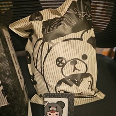 POP MART x Hirono Road Journal Series Plush Pendant Confirmed-CITY DUST AFLOAT