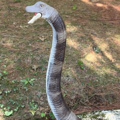 Jurassic World Hammond Collection Brachiosaurus