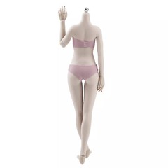 19B 1/6 Scale Seamless Small Bust Female Figure Body 12″ For Phicen Hot ToyZj