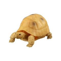 The Diversity of Life on Earth Turtle 01, 02 & 05 Figure Bandai Capsule Toy