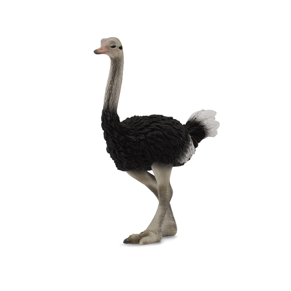 CollectA Realistic Animal Replica Ostrich Figure Large Ages 3 Years and Up