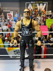 Brian Adams WWE Monday Night War nWo WCW Action Figure w/ Extra Head & Hands