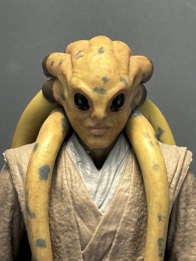 Hasbro Star Wars the Black Series Kit Fisto