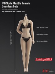 US STOCK 1:6 Flexible Seamless Normal Skin Large Bust Breast Female Figure Body