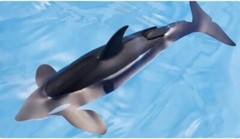 Takara Tomy Ania Orca Killer Whale AL-08 Floating Animal Figure Shamu