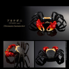 Bandai Premium Capsule Toy Creature Encyclopedia CRAB Figure Set of 4 Complete