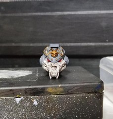 Premium Painted Wolf Male Head Sculpt Helmet Model For DIY Action Figure