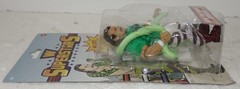 NEW WWE Superstars JAKE THE SNAKE ROBERTS Series 13 WALMART EXCLUSIVE Free Ship
