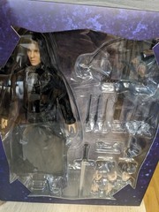 STAR ACE NEW SELENE UNDERWORLD EVOLUTION 1/6 scale FREE SHIPPING WORLDWIDE