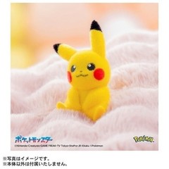 Set of 2 Pokemon 30th Anniversary Welcome Back! Pikachu Plush 1/1 w/ mini