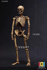 101TOYS NO.ES001/2 Palm Elf Series Skeleton Body 1/12 Action Figure Collectible