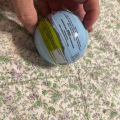 Bluey Surprise Ball- this includes 13 Bluey surprise balls.