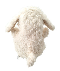Poodle Dog Plush Toy Cream Beige Beanie Puppy 6.5″ Yellow Bow Shaggy Vintage